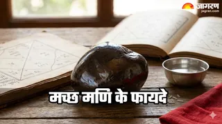 क्या है मच्छ मणि? (Image Source: AI-Generated)