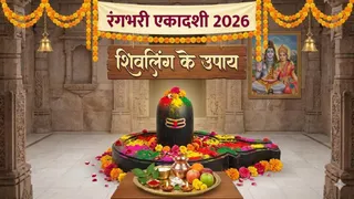 Rangbhari Ekadashi 2026: रंगभरी एकादशी के उपाय। (Ai Generated Image)