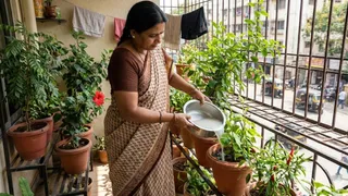 बेकार न समझें चावल का पानी, आपके पौधों के लिए किसी 'मैजिक ड्रिंक' से कम नहीं (Image Source: AI-Generated)