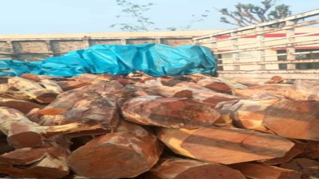 कठुआ पुलिस ने किया खैर की अवैध तस्करी का भंडाफोड़, बसंतपुर में नाका चेकिंग के दौरान ट्रक से 35 क्विंटल लकड़ी बरामद
