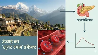 वैज्ञानिकों ने बताया क्यों पहाड़ों पर रहने वालों को कम होता है डायबिटीज का खतरा (Image Source: AI-Generated)
