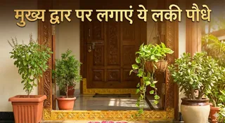इन पौधों को लगाने से घर में होगा सुख-शांति का वास (Image Source: AI-Generated)