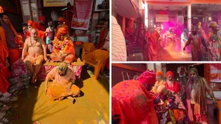 मां मायादेवी के मंदिर में रंगभरी एकादशी का पर्व श्रद्धा, उल्लास व आध्यात्मिक महत्वता के साथ मनाया।