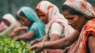 News Article Hero Image