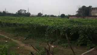 फरीदपुर गांव के खेत, यहां भी सेक्टर विकसित करने की है योजना। जागरण