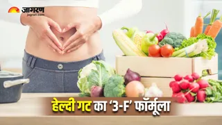बॉडी डिटॉक्स के लिए महंगे सप्लीमेंट नहीं, काम आएंगे ये 3 'F' (Image Source: AI-Generated)