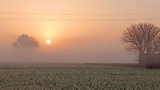 Haryana Weather: 31 डिग्री तापमान से बढ़ी गर्मी, होली के दिन कैसा रहेगा हरियाणा का मौसम? IMD का बड़ा अपडेट