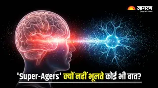'सुपर-एजर्स' के दिमाग का अनोखा रहस्य (Image Source: Freepik)