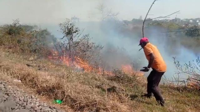 जमुनियां हाल्ट के बीच रेलवे लाइन के किनारे झाड़ियों में लगी आग, घंटों ट्रेनों की आवाजाही प्रभावित
