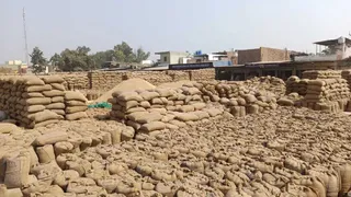 धान की भरी बोरियों से भरा गोदाम। (फाइल फोटो)
