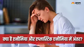 News Article Hero Image