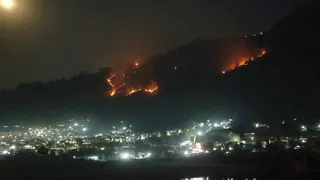 श्रीकोट गंगानाली के जंगल में सोमवार रात लगी आग। जागरण।