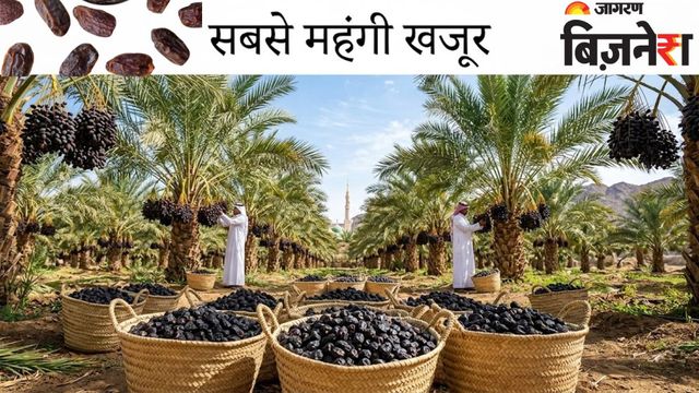 दुनिया की सबसे महंगी खजूर: आखिर 1 किलो की कीमत इतनी ज्यादा क्यों? सिर्फ इस शहर में होती है खेती
