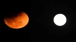 News Article Hero Image