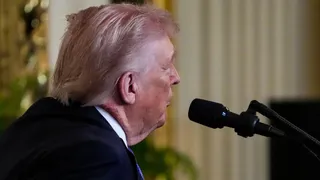 News Article Hero Image