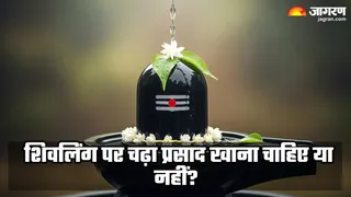 किन परिस्थितियों में शिव प्रसाद खाना शुभ माना जाता है? (Image Source: Freepik)