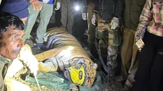 News Article Hero Image