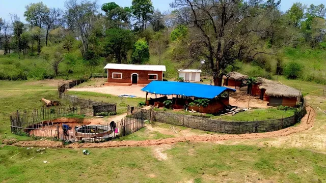 News Article Hero Image