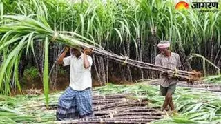 गन्ना किसानों के लिए राहत