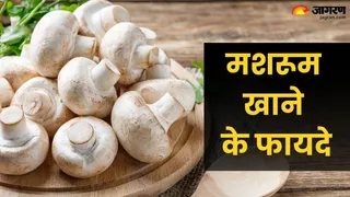 मशरूम के 5 प्रमुख फायदे: इम्यूनिटी बढ़ाने और वजन कम करने में सहायक