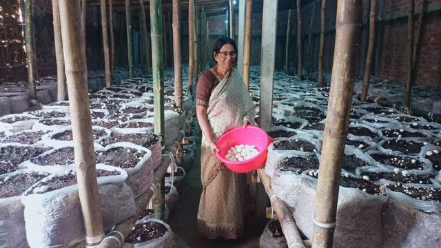 68 साल की उम्र में बिजनेस वुमन बनीं सुपौल की कुमकुम: घर के पीछे शुरू की मशरूम फार्मिंग, 2 जिलों में सप्लाई