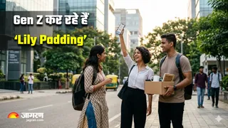 क्या करियर में लंबी छलांग लगाने का नया सीक्रेट है Lily Padding? (Image Source: AI-Generated)