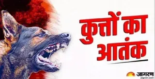 फाइल फोटो।
