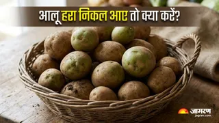 News Article Hero Image