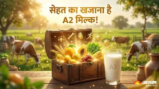 ए2 दूध: जानें क्यों है यह बेहतर विकल्प (Picture Credit- AI Generated)