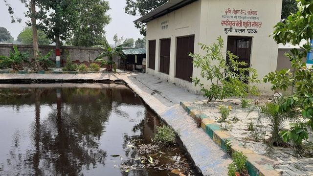 गाजियाबाद के किसान अपना रहे एकीकृत खेती मॉडल, बढ़ी कमाई के साथ खोल रहे विकास का रास्ता
