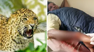 गुलदार के हमले में घायल पोखरी निवासी कृषक प्रेम सिंह पीएचसी क्वांसी में उपचार कराते हुए।