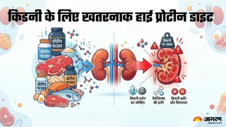 ज्यादा प्रोटीन खाने से बचें: किडनी को हो सकता है गंभीर नुकसान (Picture Credit- AI Generated)