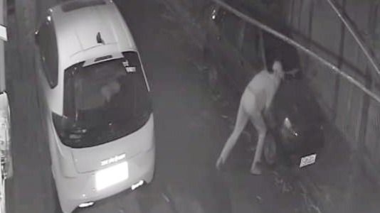 लखनऊ के राजाजीपुरम में कई कारों की बैटरी चोरी, CCTV में कैद हुई घटना; पुलिस तलाश में जुटी
