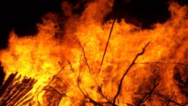 हिमाचल की वन संपदा पर फिर मंडराया आग का खतरा: क्या है फॉरेस्ट फायर का कारण, कैसे करें सुरक्षा और बचाव?
