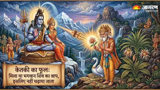 केतकी के फूल को क्यों मिला श्राप? (AI Generated Image)