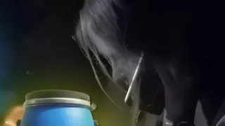 प्रतीकात्मक फोटो