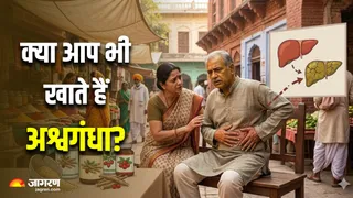 क्या लिवर को नुकसान पहुंचाता है अश्वगंधा? (Image Source: AI-Generated)