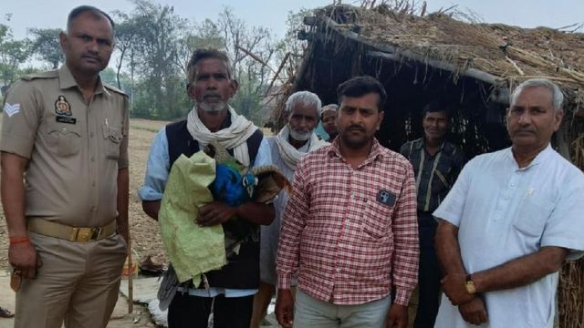 आवारा कुत्तों के हमले से मोर घायल, पहले भी जा चुकीं छह की जान, घटनाओं के बावजूद नहीं अलर्ट हो रहे अधिकारी
