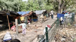 सेक्टर-12 स्थित कोर्ट रोड के साइकिल ट्रैक पर झुग्गीवासियों का है कब्जा। जागरण