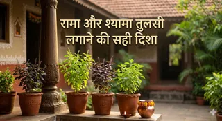 क्या है तुलसी लगाने की सही दिशा? (AI Generated Image)