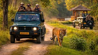 Jungle Safari Experience: पर्यटकों को बेहतर और सुविधाजनक सफर का अनुभव मिलेगा। यह तस्वीर एआई की मदद से तैयार की गई है।