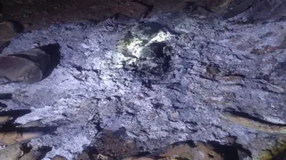 गुदड़ी के कमरोड़ा में कलयुगी बेटे ने बुजुर्ग मां की हत्या कर शव जलाया, आरोपी फरार।