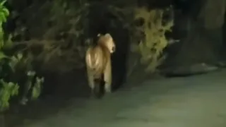 एचएमटी रोड पर नजर दोनों अलग-अलग नजर आए. Jagarn
