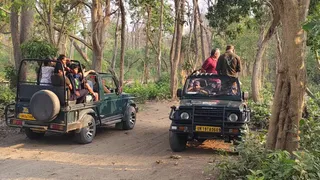 सफारी के लिए लाटरी से जिप्सी पंजीकरण होगा, जिससे संचालकों की धड़कनें बढ़ है।