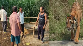 पश्चिम चंपारण में मक्का के खेत के पास ग्रामीण। जागरण