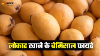 लोकाट फल: हृदय, पाचन और कैंसर से बचाव के लिए अद्भुत स्वास्थ्य लाभ (Picture Credit- Freepik)