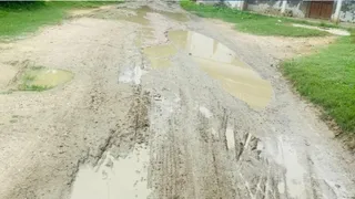 सांकेतिक तस्वीर।