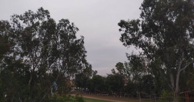 Punjab Weather: पंजाब में फिर बदलेगा मौसम, तीन दिन का यलो अलर्ट जारी; धूल भरी आंधी की आशंका
