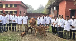 गाय और बछड़ों के साथ वैज्ञानिकों की टीम| सौ. संस्थान