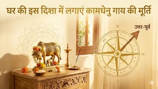 Vastu Tips: घर में कामधेनु गाय रखने के नियम। (Ai Generated Image)